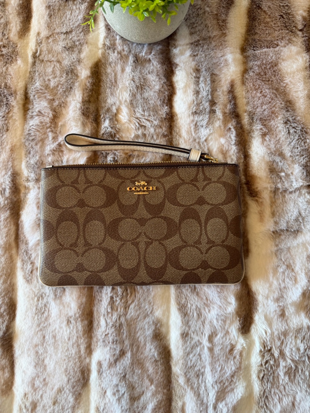 Coach Brown Signature Canvas Wristlet with Gold Logo